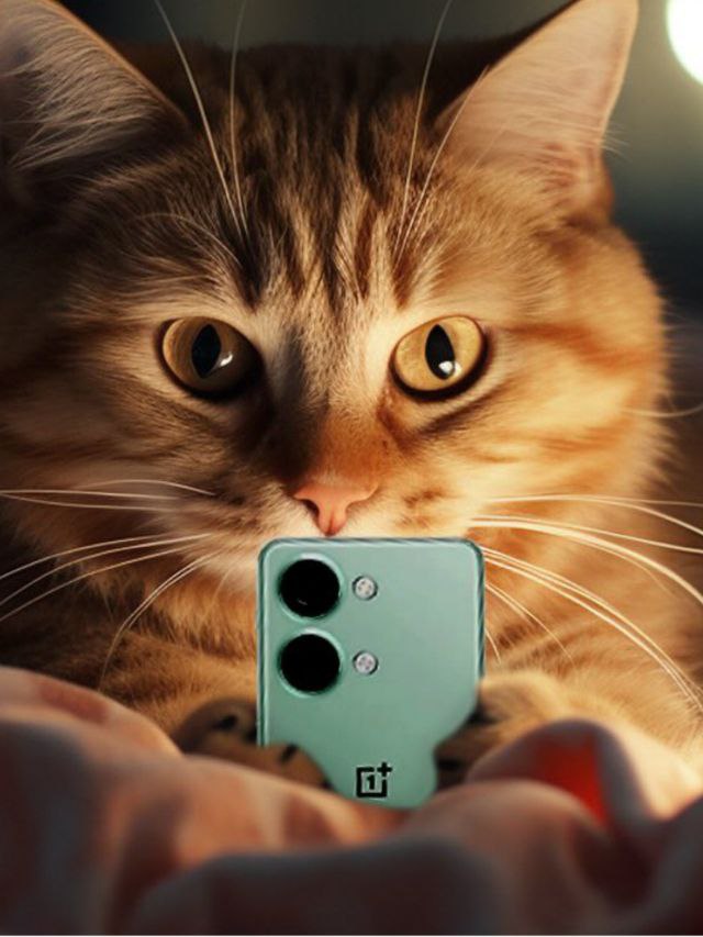 OnePlus के इस धाकड़ 5G फ़ोन पर मिल रही है भारी छूट, यहाँ देखें